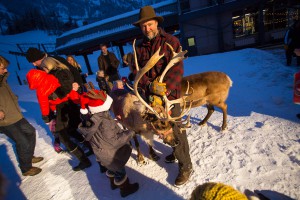 reindeer at the little nell