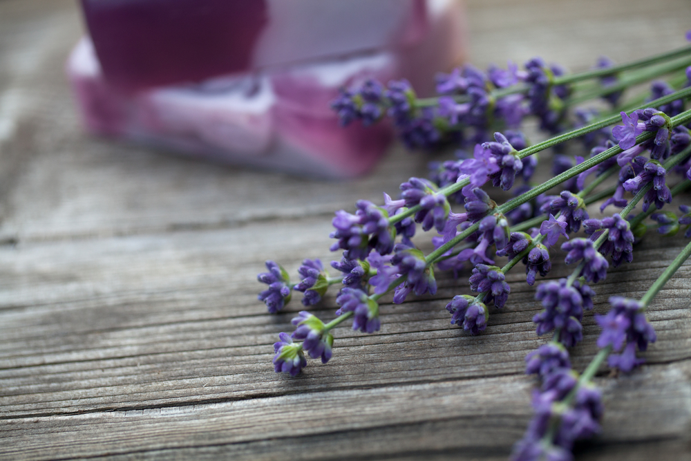 lavender spa treatment 