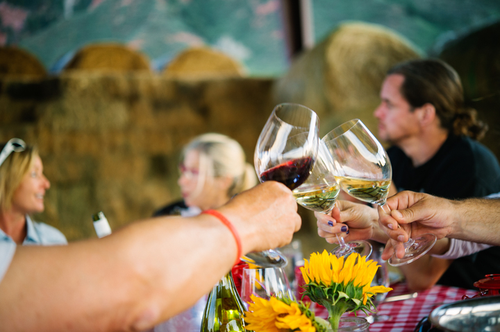 Farm to Table Dinner with Wine